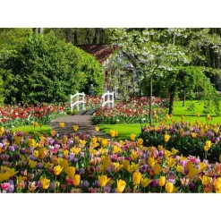 Puzzle 1000 pièces - Jardins de Keukenhof, Pays-Bas - Ravensburger