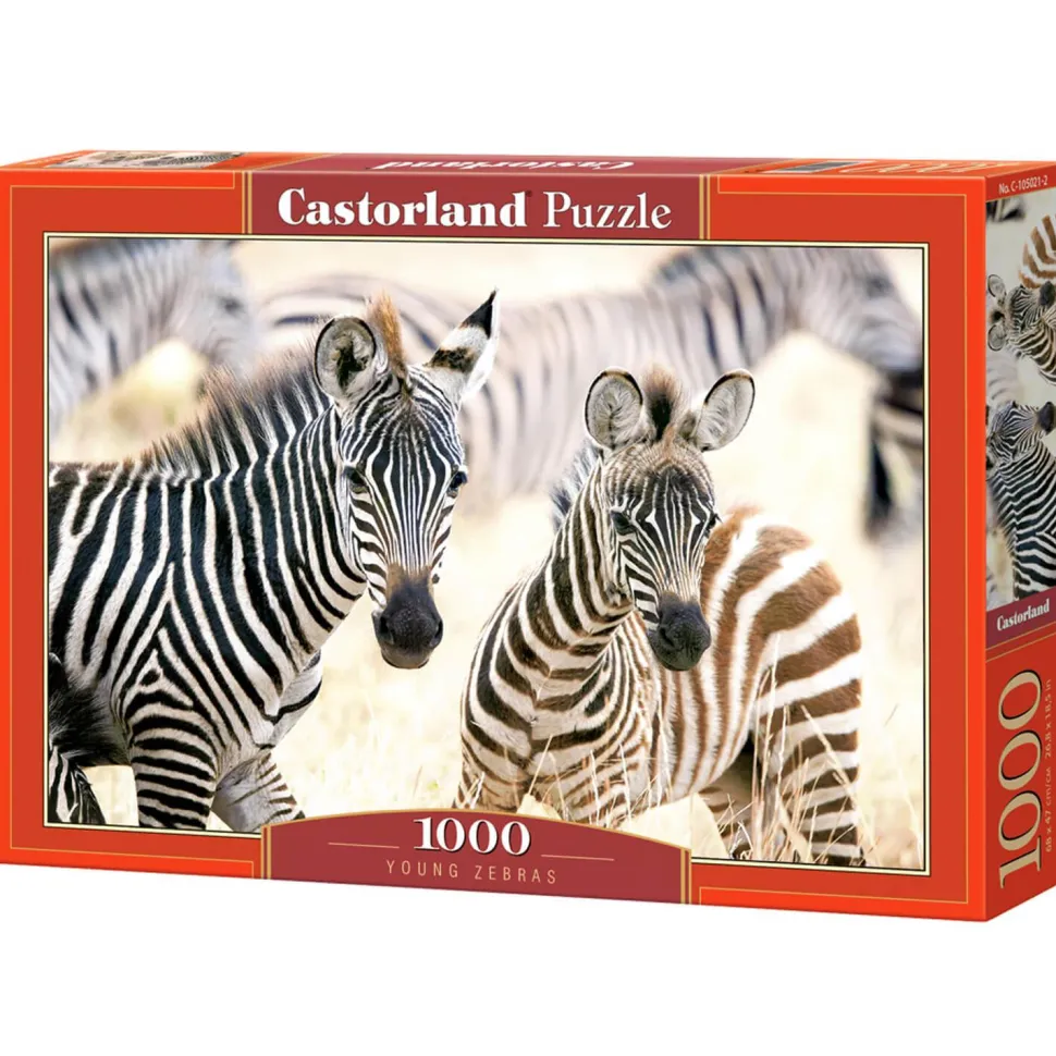 Puzzle 1000 pièces : Jeunes Zèbres - Castorland