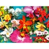 Puzzle 1000 Pièces : Jungle d'Orchidées - EnjoyPuzzle