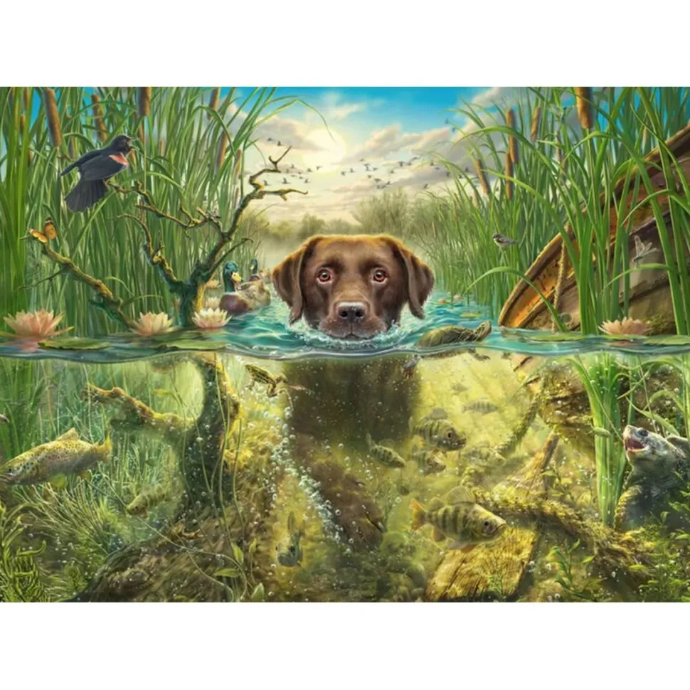 Puzzle 1000 pièces : Labrador chocolat à la baignade - Schmidt