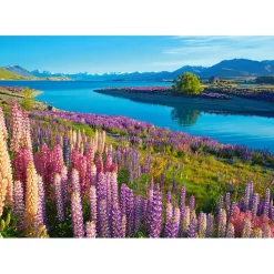 Puzzle 500 pièces : Lac Tekapo, Nouvelle-Zélande - Castorland