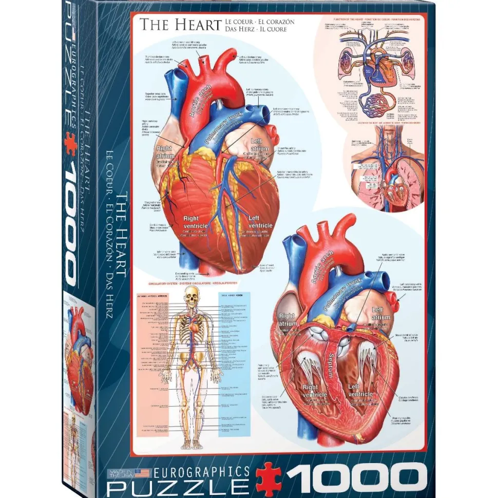 Puzzle 1000 pièces : Le coeur - Eurographics