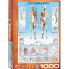 Puzzle 1000 pièces : Le corps Humain - Eurographics