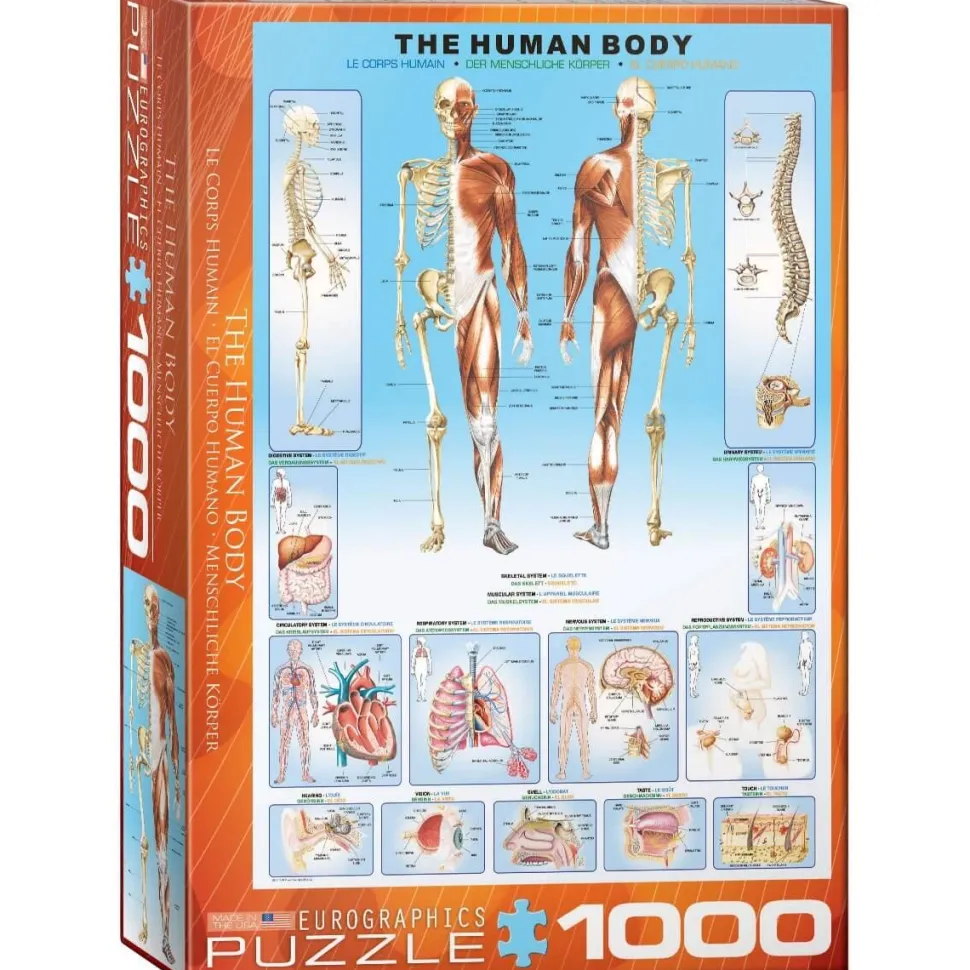 Puzzle 1000 pièces : Le corps Humain - Eurographics