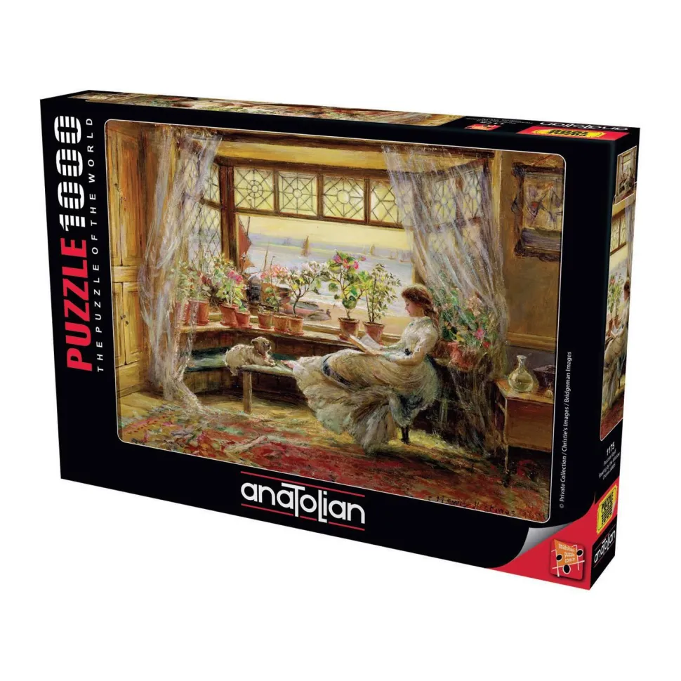 Puzzle 1000 pièces : Lecture près de la fenêtre - Anatolian