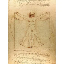 Puzzle 1000 Pièces : L'Homme de Vitruve - EnjoyPuzzle