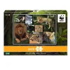 Puzzle 1000 pièces : Lion, Tigres, Panthères - WWF