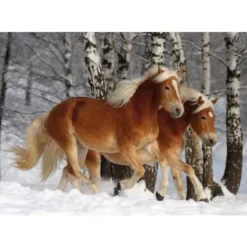 Puzzle 239 pièces - Magie des chevaux : Cheval Haflinger III - DToys