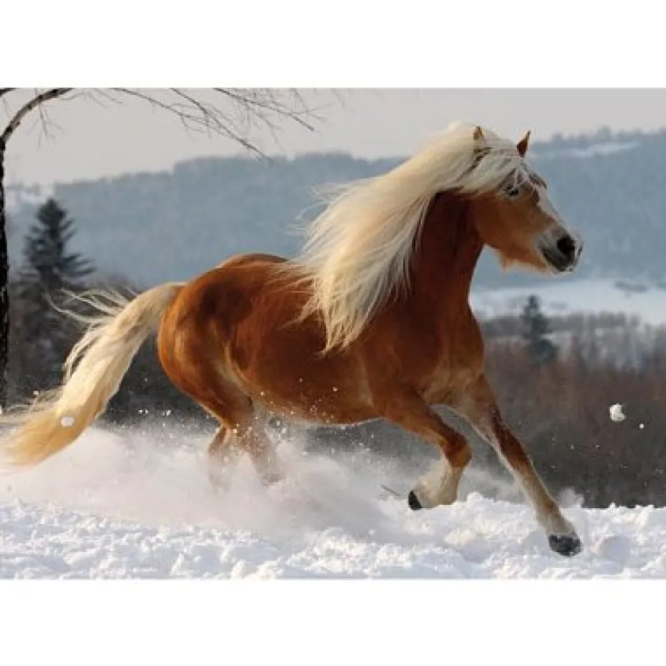 Puzzle 239 pièces - Magie des chevaux : Cheval Haflinger II - DToys