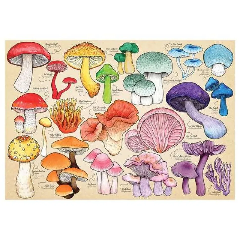 Puzzle 1000 pièces : Mushroom Mania - The House Of Puzzle