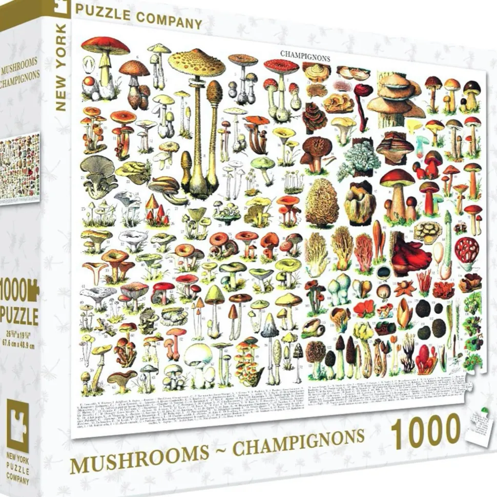 Puzzle 1000 pièces : Mushrooms Champignons - New York Puzzle Company