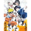 Puzzle 1000 pièces : Naruto vs Sasuke - Nathan