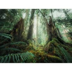 Puzzle 1000 pièces - Nature édition : En forêt - Ravensburger