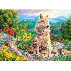 Puzzle 1000 pièces : Nouvelle génération - Castorland