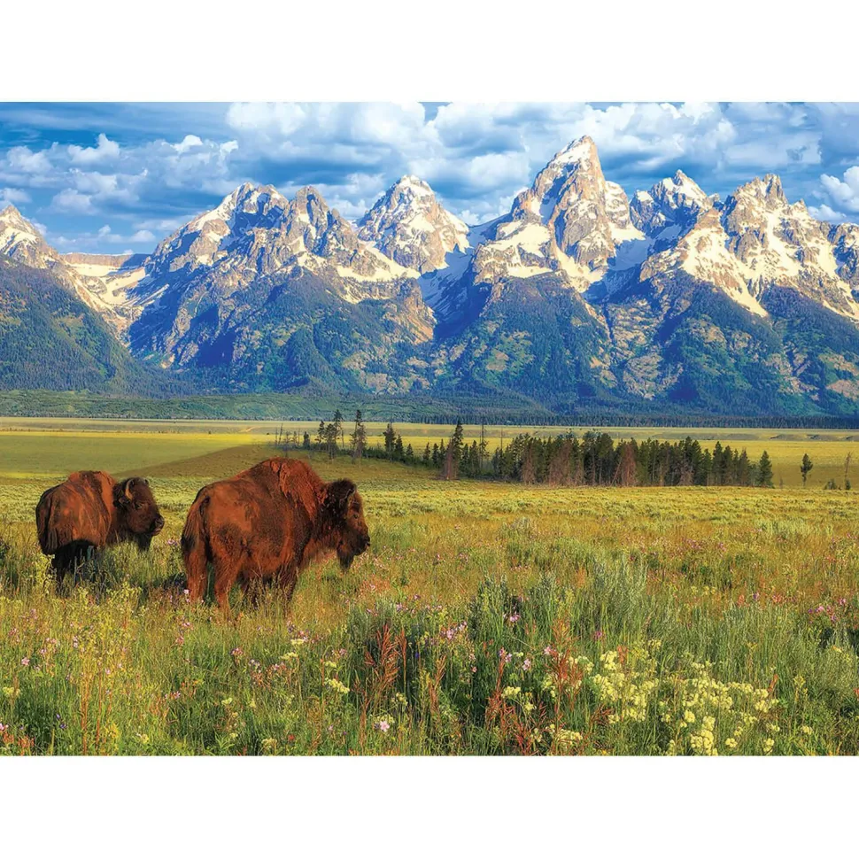Puzzle 1000 pièces : Parc National de Grand Teton - Eurographics