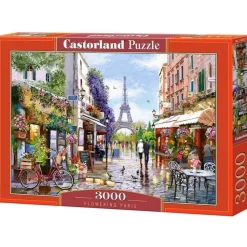 Puzzle 3000 pièces : Paris Fleuris - Castorland