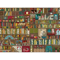 Puzzle 1000 pièces : Pattern: Etagères à livres - DToys