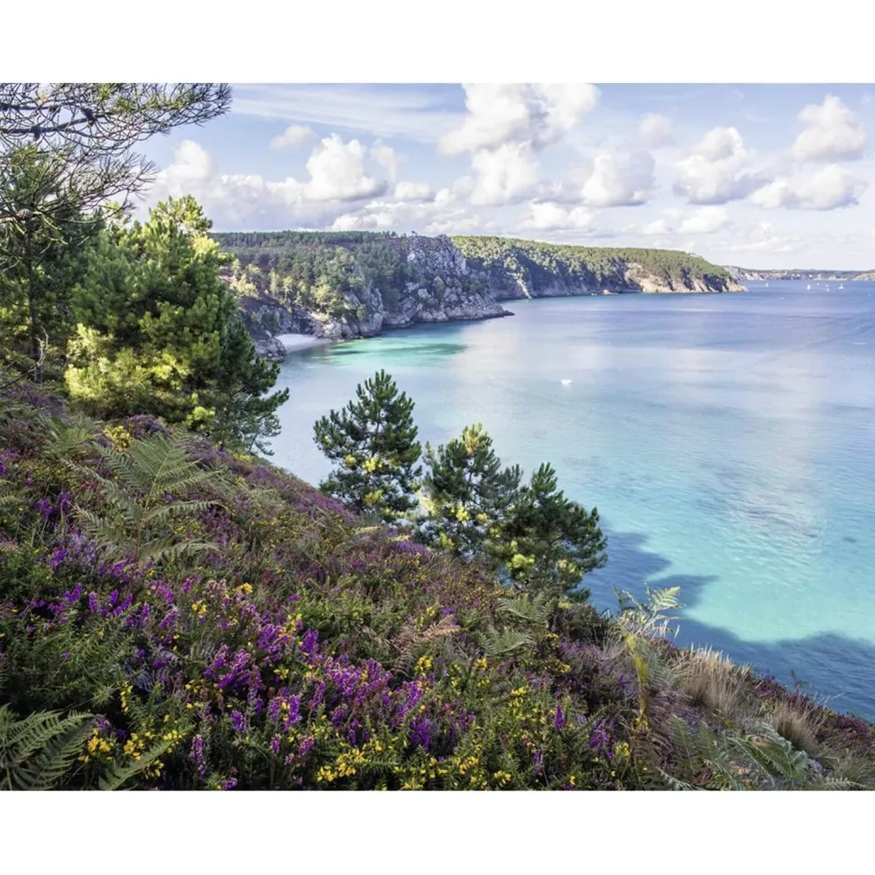 Puzzle 2000 pièces : Plage de Crozon - Nathan