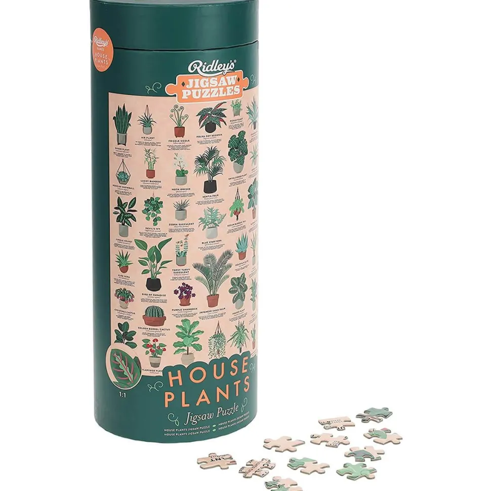 Puzzle 1000 pièces : Plantes d'intérieur - Galison