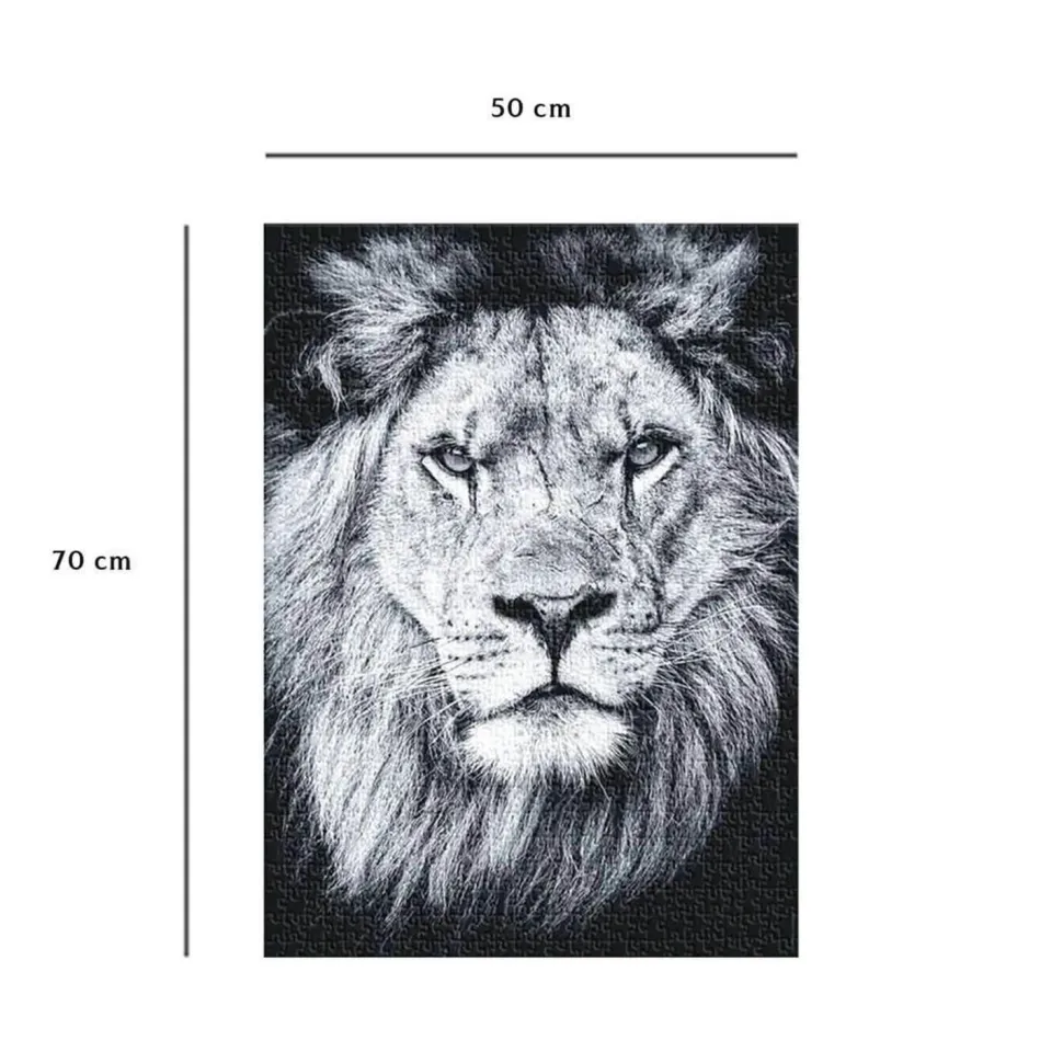 Puzzle 1000 pièces : Portrait royal - Nathan