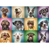 Puzzle 1000 pièces : Portraits de chiens rigolos - Trefl