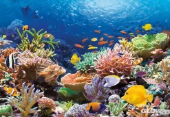 Puzzle 1000 pièces - Récif de corail - Castorland