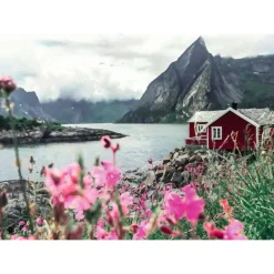 Puzzle 1000 pièces : Reine, Lofoten, Norvège - Ravensburger