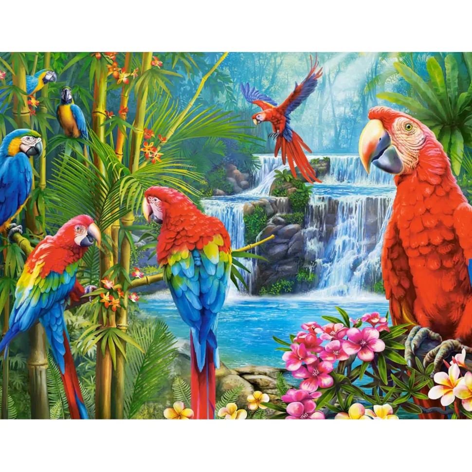 Puzzle 2000 pièces : Rencontre de perroquets - Castorland