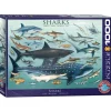 Puzzle 1000 pièces : Requins - Eurographics