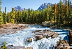 Puzzle 1500 pièces - Rivière Athabasca, parc national de Jasper : Canada - Castorland