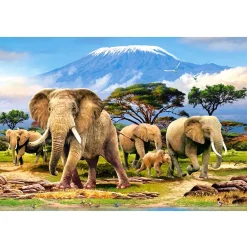 Puzzle 1000 pièces : Réveil matinal près du Kilimanjaro - Castorland