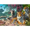 Puzzle 3000 pièces : Sanctuaire du tigre - Castorland