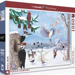 Puzzle 1000 pièces : Sentier d'hiver - New York Puzzle Company
