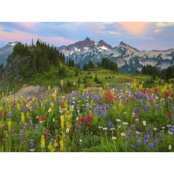 Puzzle 2000 Pièces : Tatoosh Mountains - Heye