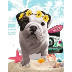 Puzzle 500 pièces : Téo California, Téo Jasmin - Nathan