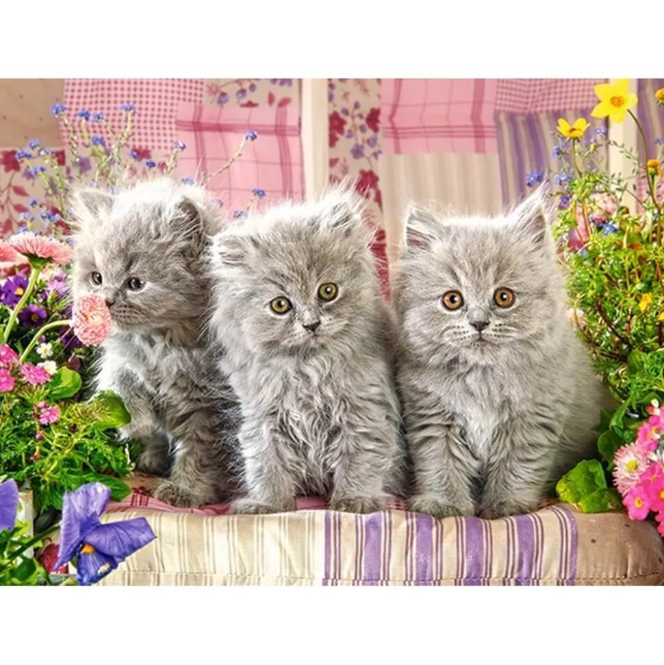 Puzzle 300 pièces : trois petits chatons gris - Castorland