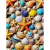 Puzzle 1000 Pièces : Trésor de Plage - EnjoyPuzzle