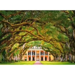 Puzzle 1000 pièces : Une allée de Chêne - Castorland