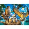 Puzzle 500 pièces : Une famille de chouettes - Castorland
