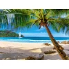 Puzzle 500 pièces : Vacances aux Seychelles - Castorland