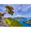 Puzzle 1000 pièces : Vue du lac d'Uri, Suisse - Castorland