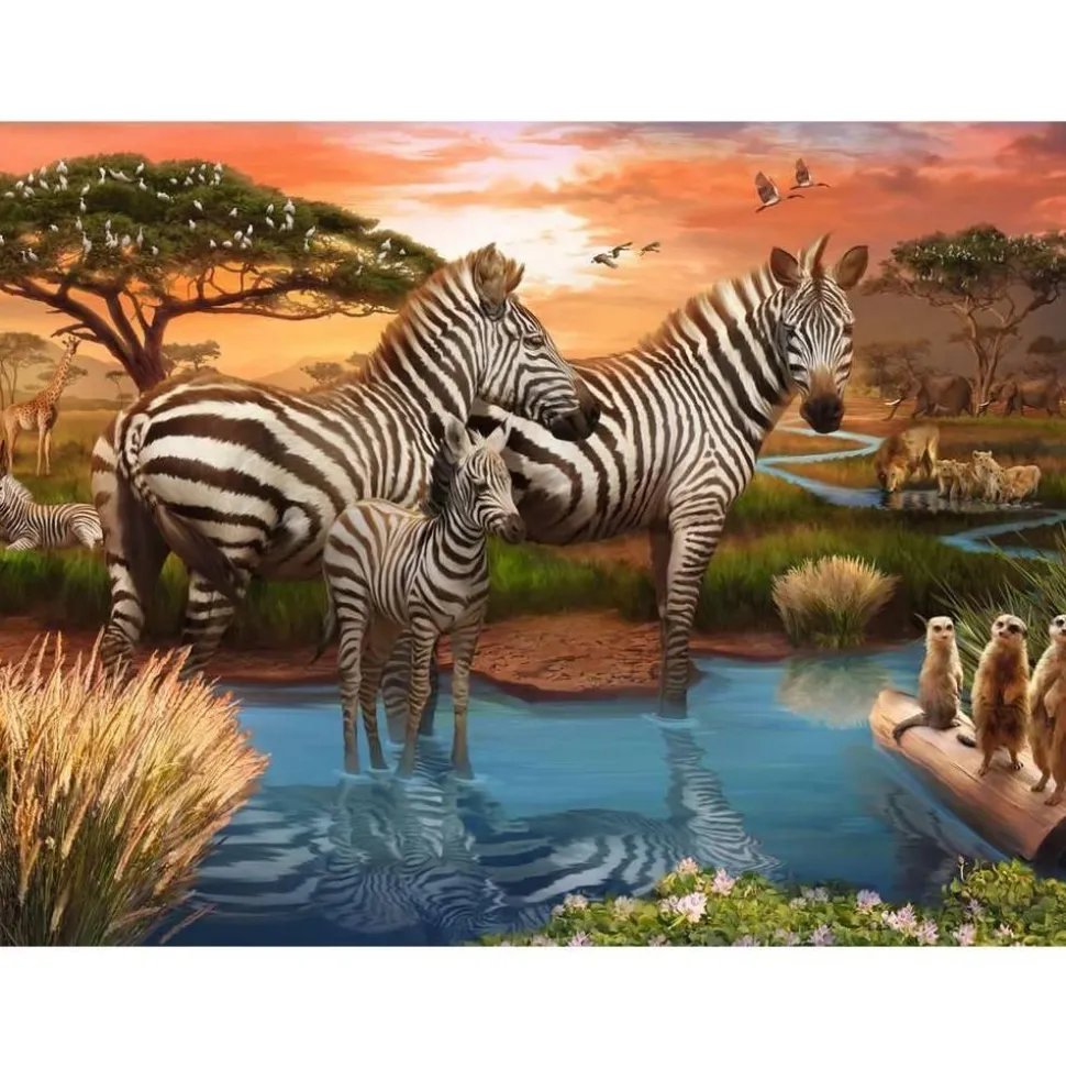 Puzzle 500 pièces : Zèbres au plan d'eau - Ravensburger