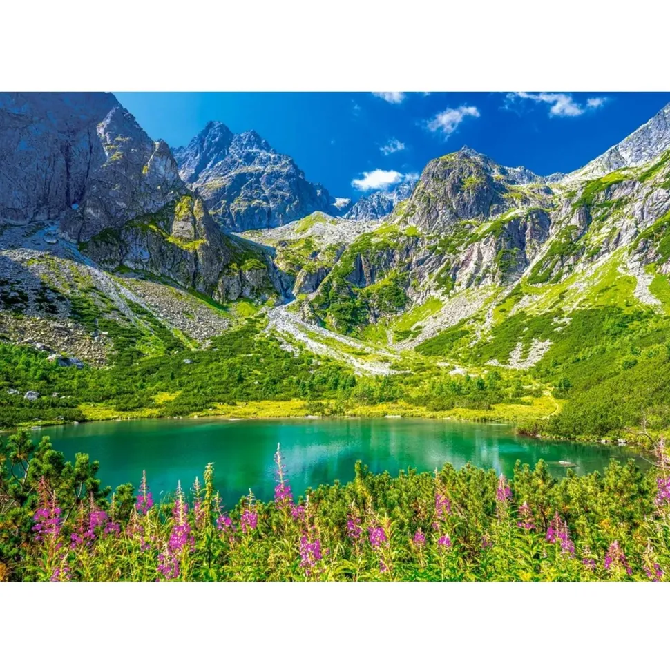 Puzzle 1000 pièces : Zelene Pleso, Tatras, Slovaquie - Castorland