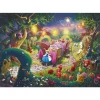 Puzzle 6000 pièces Disney : Thomas Kinkade : Fête du thé du chapelier fou - Schmidt