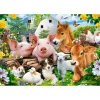 Puzzle 40 pièces maxi : Amis de la Ferme - Castorland