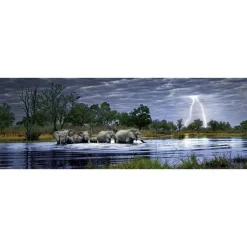 Puzzle 2000 pièces panoramique Edition Alexander Humboldt Alex Bernasconi : Troupeau d'éléphants - Heye