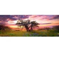 Puzzle 2000 pièces panoramique - Alexander von Humboldt : Le chêne - Heye