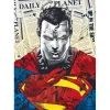 Puzzle 1000 pièces Premium Plus : Superman / Warner Superman - Trefl