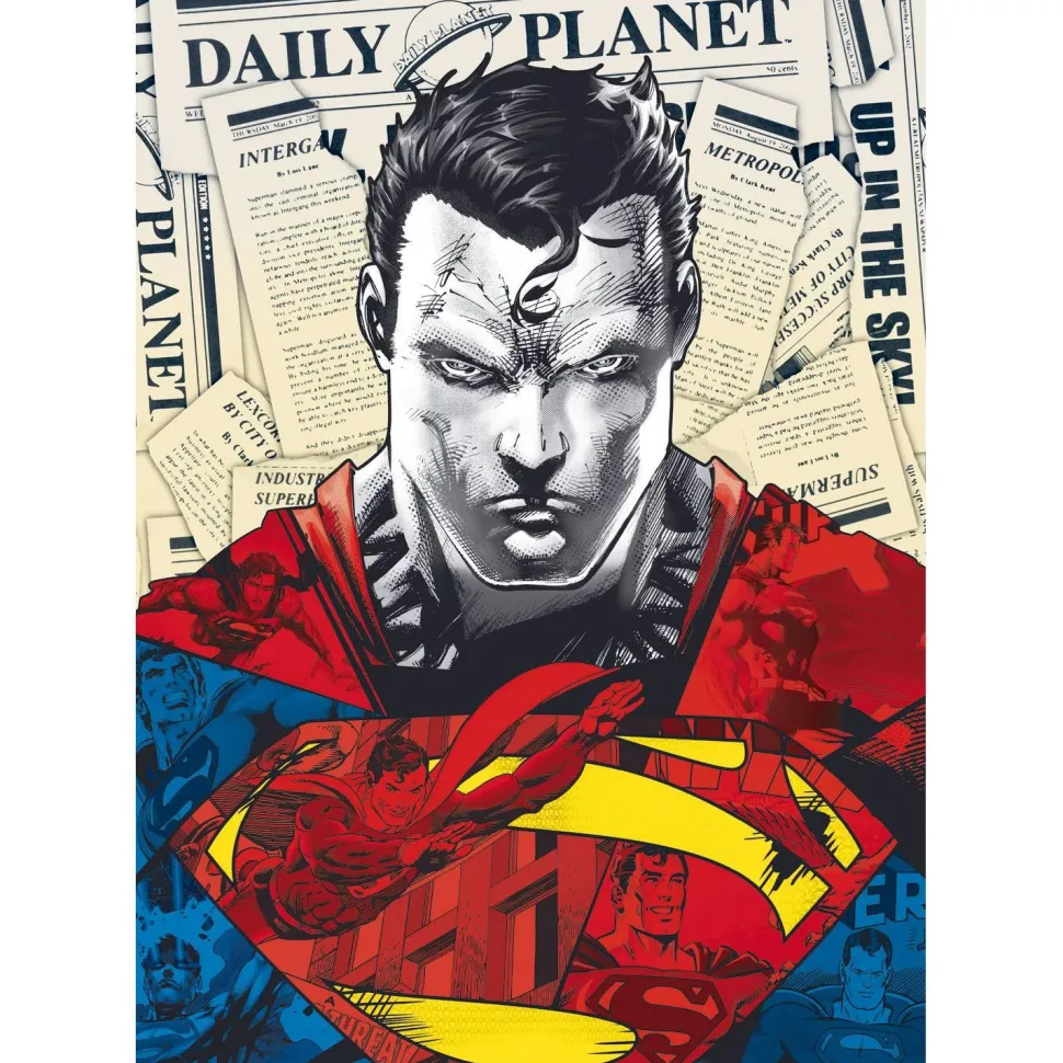 Puzzle 1000 pièces Premium Plus : Superman / Warner Superman - Trefl