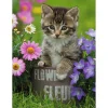 Puzzle 100 pièces XXL : Chaton dans fleurs - Ravensburger